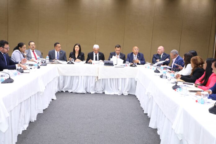 COMISION BICAMERAL QUE ESTUDIA NUEVO CODIGO PENAL ANALIZÓ CASI EL TOTAL DE LOS ARTICULOS QUE REQUIEREN MODIFICACIONES.